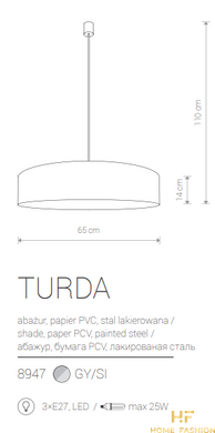 Підвісний світильник Nowodvorski Modern TURDA 8950 G