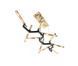 Люстра Castro Lighting Zenith Suspension 9900.160x70