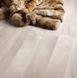 Фриз Roberto Cavalli 10x19,8 Tanduk Grigio
