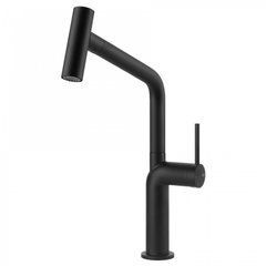 Змішувач для кухні Gessi Stelo чорний матовий (60313#299)