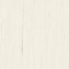 Керамогранит Atlas Concorde Marvel Stone Bianco Dolomite 120x120 Matt (A204)